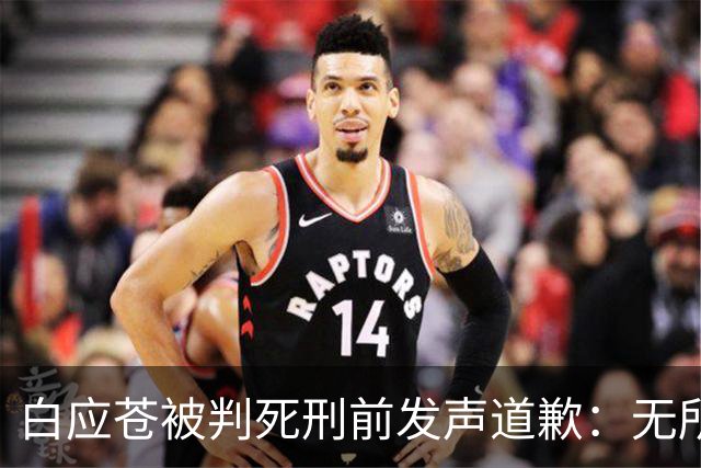 白应苍被判死刑前发声道歉：无所事事的阴影与反思